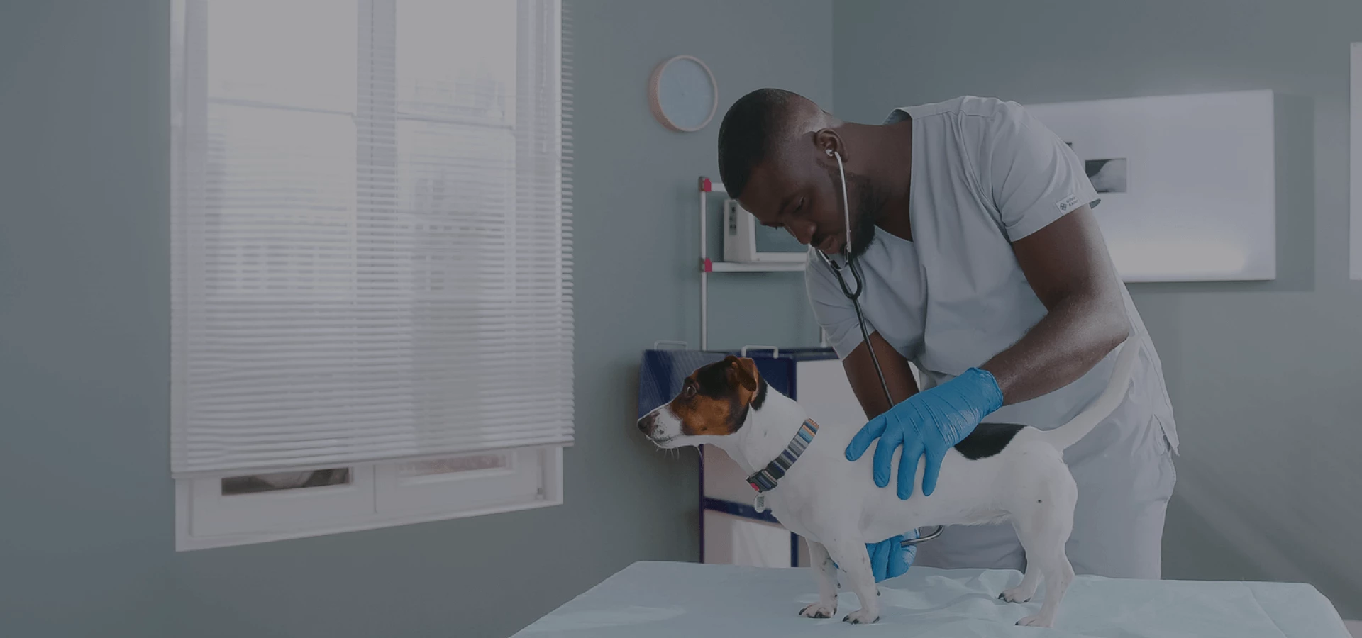 Preventative & Wellness Care